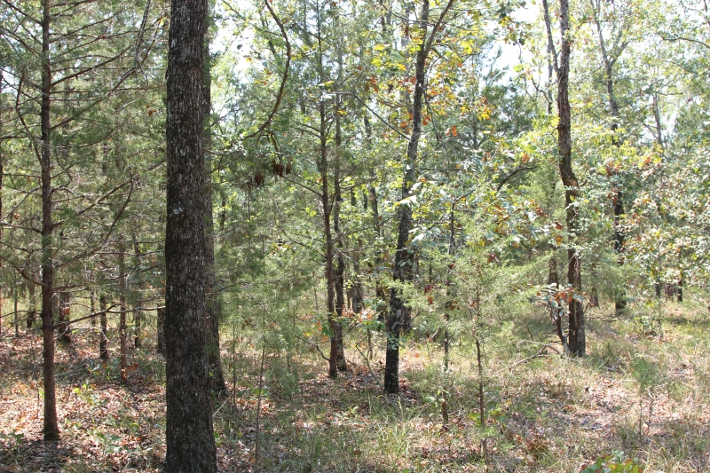 Tract 3 at Lake View Ranch in Pushmataha County, Oklahoma