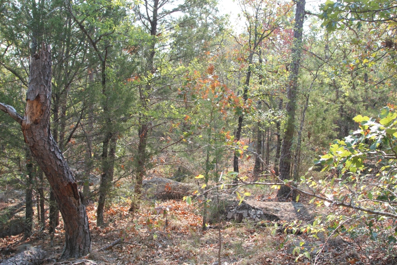 Tract 30 at Lake View Ranch in Pushmataha County, Oklahoma