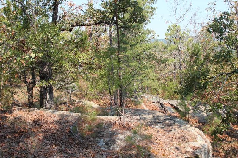 Tract 31 at Lake View Ranch in Pushmataha County, Oklahoma