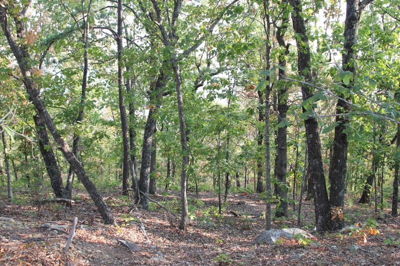 Tract 32 at Lake View Ranch in Pushmataha County, Oklahoma
