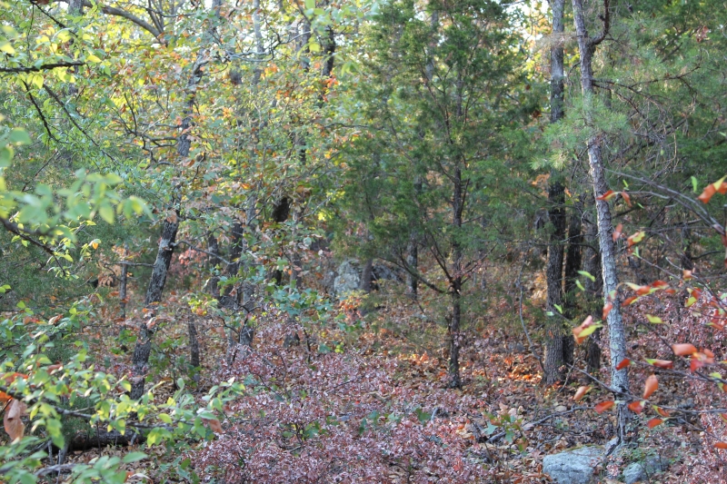 Tract 35 at Lake View Ranch in Pushmataha County, Oklahoma