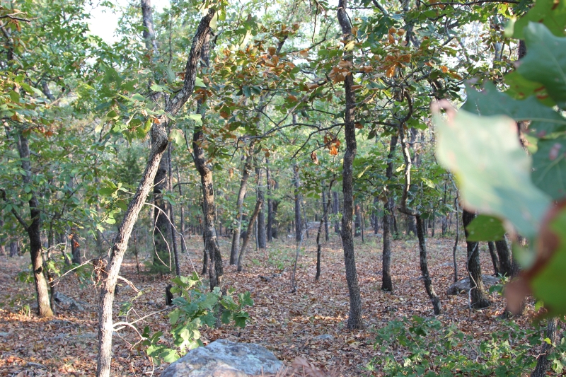 Tract 36 at Lake View Ranch in Pushmataha County, Oklahoma
