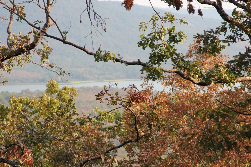 Tract 39 at Lake View Ranch in Pushmataha County, Oklahoma