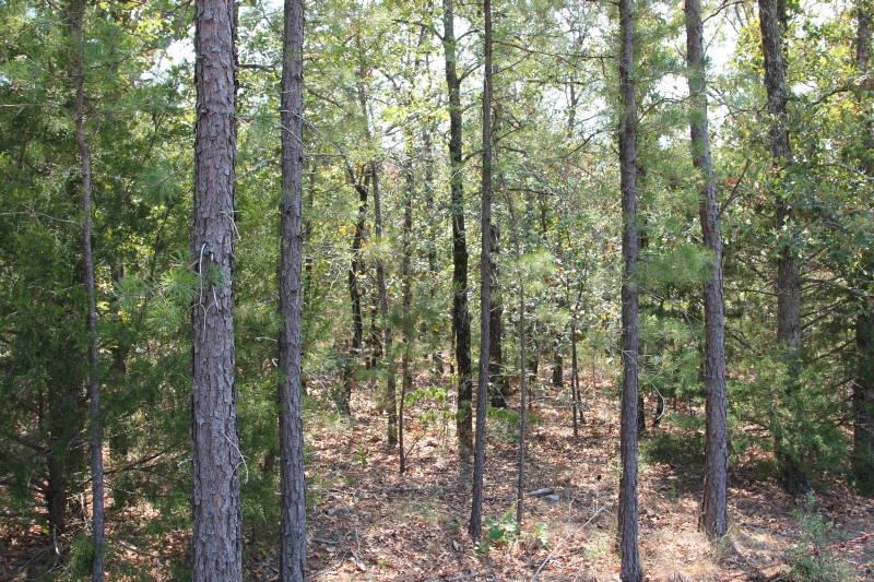 Tract 4 at Lake View Ranch in Pushmataha County, Oklahoma