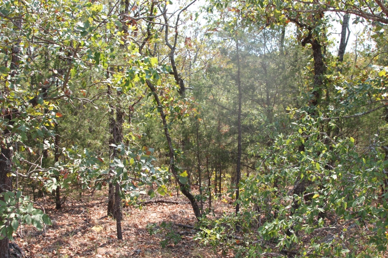 Tract 5 at Lake View Ranch in Pushmataha County, Oklahoma