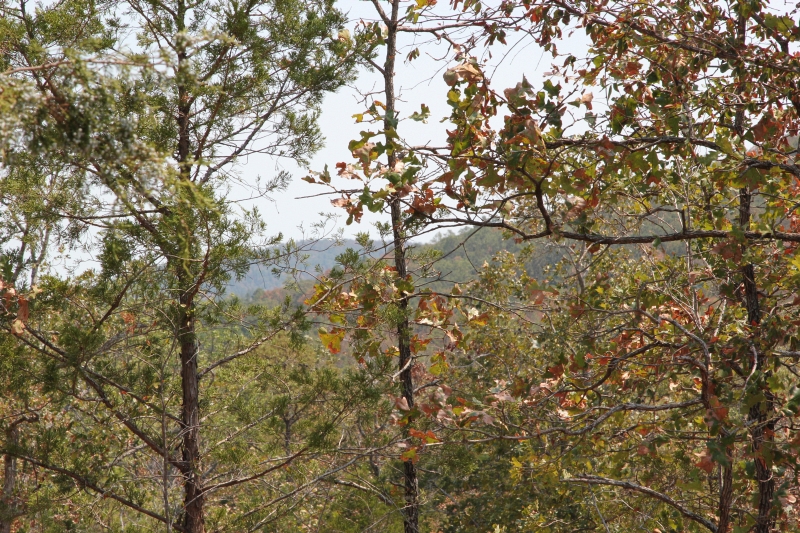 Tract 6 at Lake View Ranch in Pushmataha County, Oklahoma