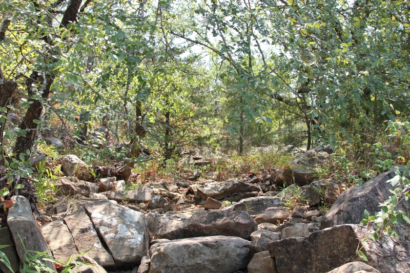 Tract 7 at Lake View Ranch in Pushmataha County, Oklahoma