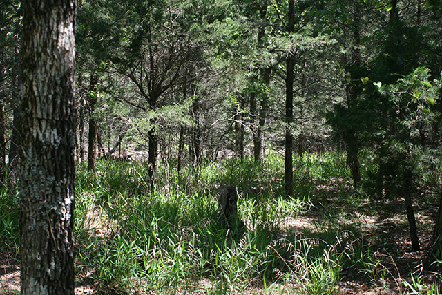 Tract 2 at Pushmataha in Pushmataha County, Oklahoma