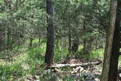 property photo for Pushmataha Tract 2, 8.29 acres for sale in Pushmataha County, Oklahoma