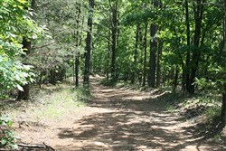 property photo for Pushmataha Tract 2, 8.29 acres for sale in Pushmataha County, Oklahoma