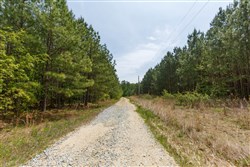 property photo for Red Barn Ranch Tract 64, 4.71 acres for sale in Benton County, Tennessee