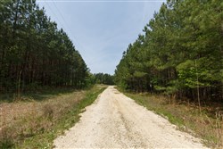 property photo for Red Barn Ranch Tract 64, 4.71 acres for sale in Benton County, Tennessee