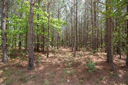 property photo for Red Barn Ranch Tract 64, 4.71 acres for sale in Benton County, Tennessee