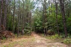 property photo for Whiskey Ridge Tract 78, 7.39 acres for sale in Henderson County, Tennessee
