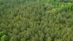property photo for Whiskey Ridge Tract 78, 7.39 acres for sale in Henderson County, Tennessee