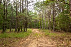 property photo for Whiskey Ridge Tract 78, 7.39 acres for sale in Henderson County, Tennessee
