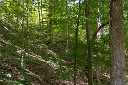 property photo for Big White Oak Tract 25, 5.12 acres for sale in Perry County, Tennessee