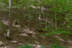 property photo for Big White Oak Tract 25, 5.12 acres for sale in Perry County, Tennessee