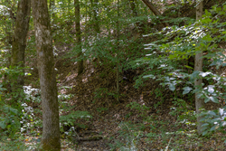 property photo for Big White Oak Tract 25, 5.12 acres for sale in Perry County, Tennessee