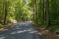 property photo for Big White Oak Tract 25, 5.12 acres for sale in Perry County, Tennessee