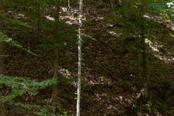 property photo for Big White Oak Tract 25, 5.12 acres for sale in Perry County, Tennessee