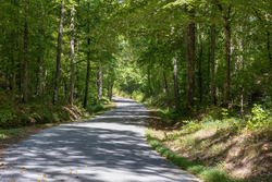 property photo for Big White Oak Tract 25, 5.12 acres for sale in Perry County, Tennessee