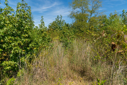 property photo for Big White Oak Tract 49, 5.45 acres for sale in Perry County, Tennessee
