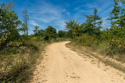 property photo for Big White Oak Tract 49, 5.45 acres for sale in Perry County, Tennessee
