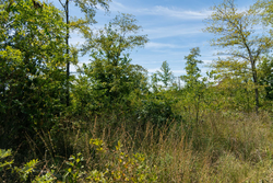 property photo for Big White Oak Tract 49, 5.45 acres for sale in Perry County, Tennessee