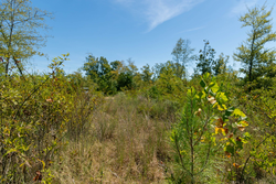 property photo for Big White Oak Tract 49, 5.45 acres for sale in Perry County, Tennessee
