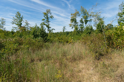 property photo for Big White Oak Tract 49, 5.45 acres for sale in Perry County, Tennessee
