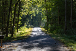 property photo for Big White Oak Tract 5, 7.72 acres for sale in Perry County, Tennessee