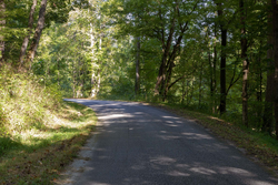 property photo for Big White Oak Tract 5, 7.72 acres for sale in Perry County, Tennessee