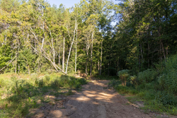 property photo for Big White Oak Tract 83, 15.55 acres for sale in Perry County, Tennessee