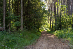 property photo for Big White Oak Tract 83, 15.55 acres for sale in Perry County, Tennessee