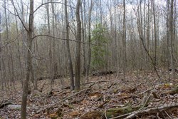 property photo for Hidden Hills Tract 14, 8.38 acres for sale in Sequatchie County, Tennessee