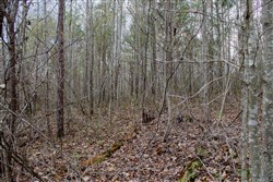 property photo for Hidden Hills Tract 14, 8.38 acres for sale in Sequatchie County, Tennessee