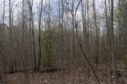 property photo for Hidden Hills Tract 14, 8.38 acres for sale in Sequatchie County, Tennessee