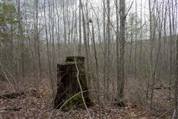 property photo for Hidden Hills Tract 14, 8.38 acres for sale in Sequatchie County, Tennessee