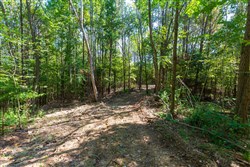 property photo for Redemption Ridge Tract 12, 7.24 acres for sale in Wayne County, Tennessee