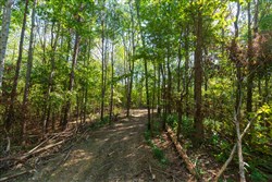 property photo for Redemption Ridge Tract 12, 7.24 acres for sale in Wayne County, Tennessee