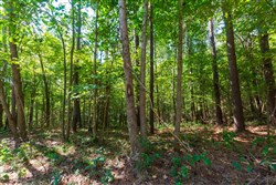 property photo for Redemption Ridge Tract 12, 7.24 acres for sale in Wayne County, Tennessee