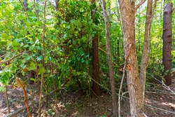 property photo for Redemption Ridge Tract 24, 7.31 acres for sale in Wayne County, Tennessee