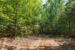 property photo for Redemption Ridge Tract 24, 7.31 acres for sale in Wayne County, Tennessee