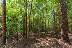 property photo for Redemption Ridge Tract 24, 7.31 acres for sale in Wayne County, Tennessee