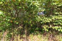 property photo for Redemption Ridge Tract 5, 5.01 acres for sale in Wayne County, Tennessee