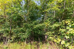 property photo for Redemption Ridge Tract 5, 5.01 acres for sale in Wayne County, Tennessee