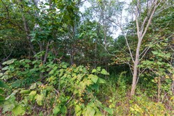 property photo for Redemption Ridge Tract 5, 5.01 acres for sale in Wayne County, Tennessee