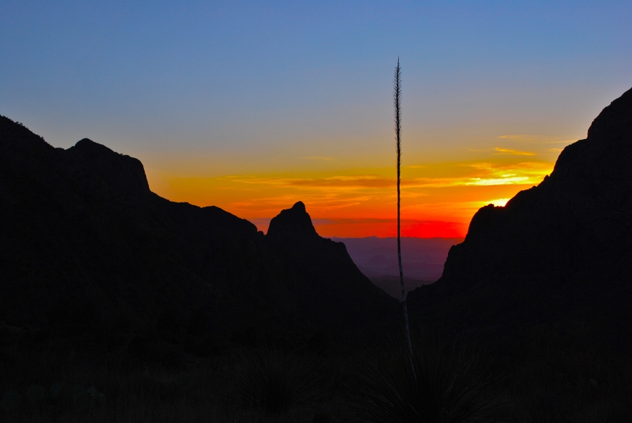 texas-brewster-terlinguaranch-T949a at Terlingua Ranch in Brewster County, Texas