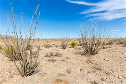 property photo for Sunrise Ranches Phase III Tract 129, 80.08 acres for sale in Hudspeth County, Texas